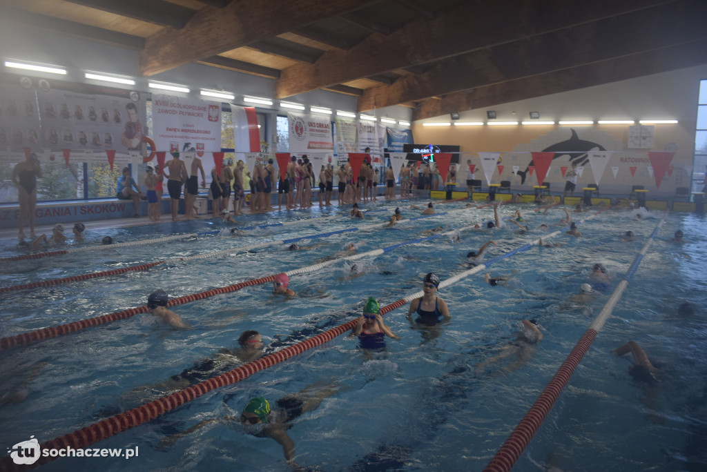 Zawody Pływackie z okazji Święta Niepodległości