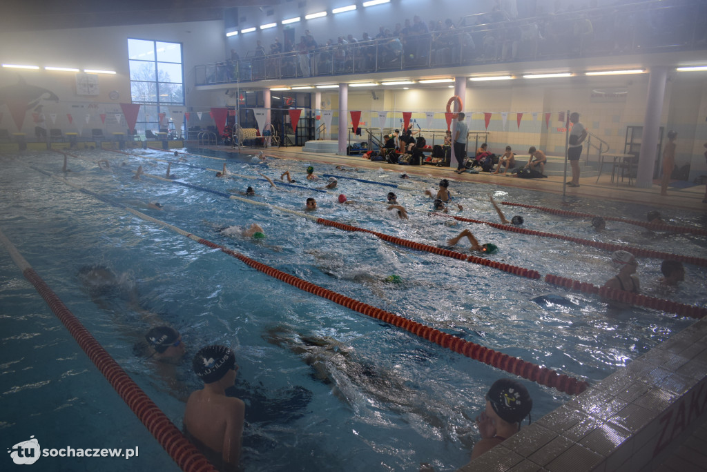 Zawody Pływackie z okazji Święta Niepodległości