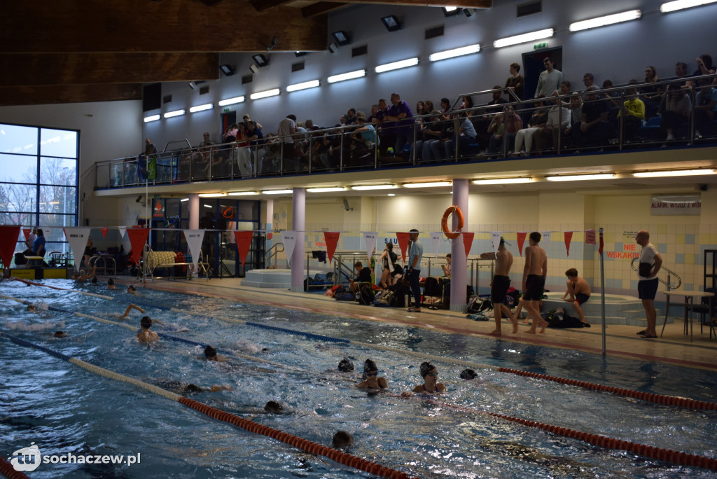 Zawody Pływackie z okazji Święta Niepodległości