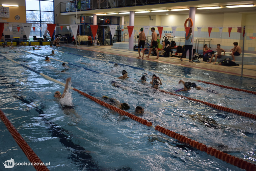 Zawody Pływackie z okazji Święta Niepodległości