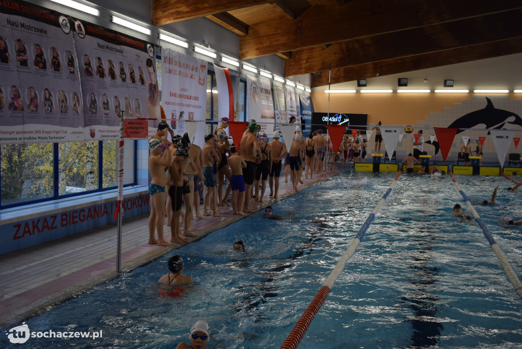 Zawody Pływackie z okazji Święta Niepodległości