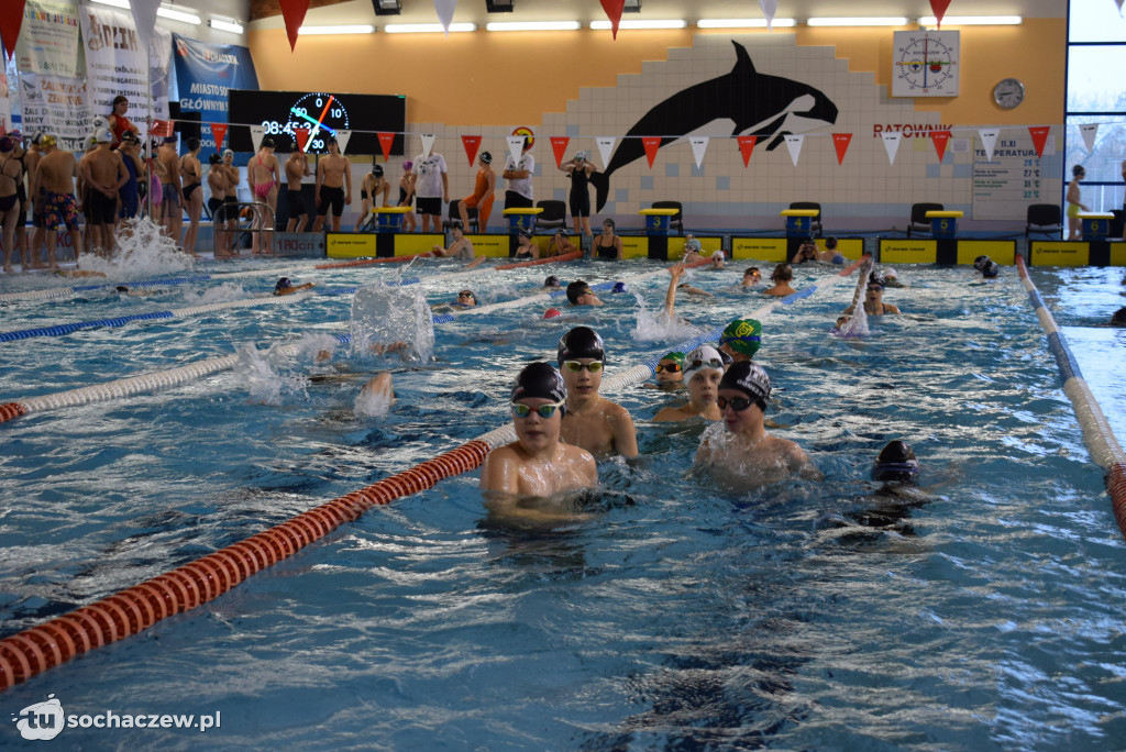 Zawody Pływackie z okazji Święta Niepodległości