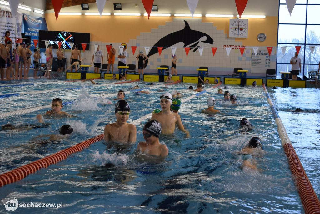 Zawody Pływackie z okazji Święta Niepodległości