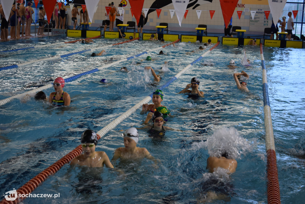 Zawody Pływackie z okazji Święta Niepodległości