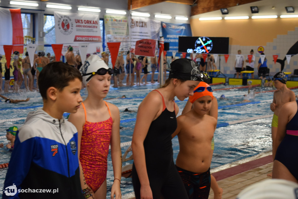 Zawody Pływackie z okazji Święta Niepodległości