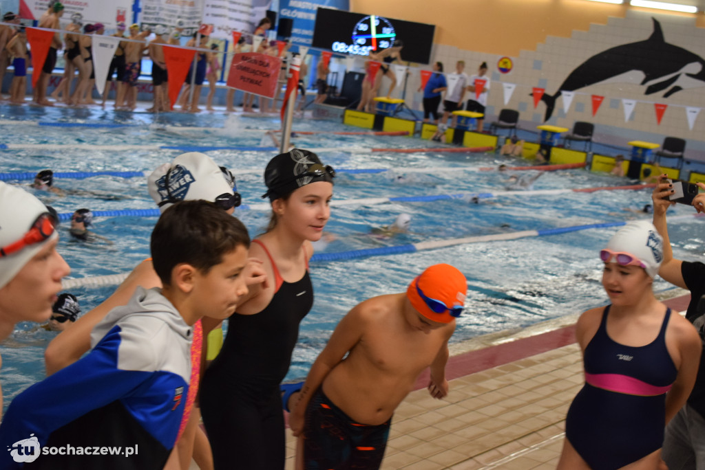 Zawody Pływackie z okazji Święta Niepodległości