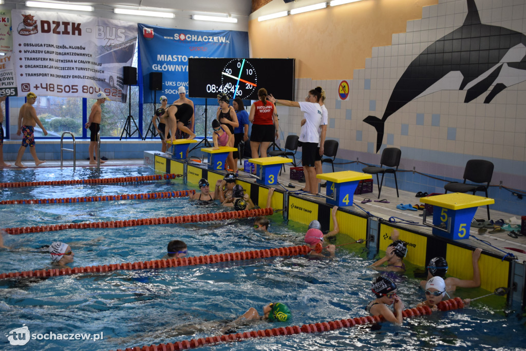Zawody Pływackie z okazji Święta Niepodległości