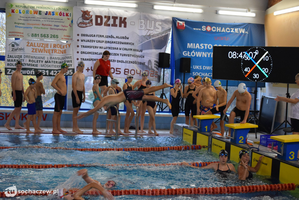 Zawody Pływackie z okazji Święta Niepodległości