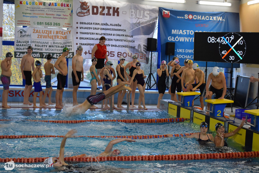 Zawody Pływackie z okazji Święta Niepodległości