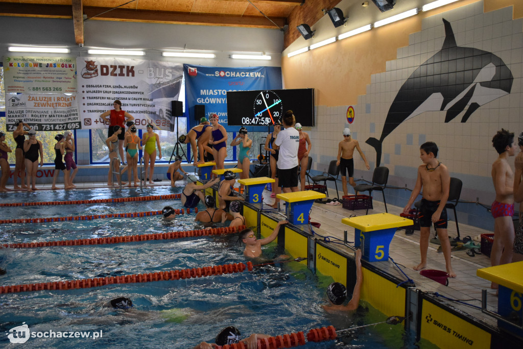 Zawody Pływackie z okazji Święta Niepodległości