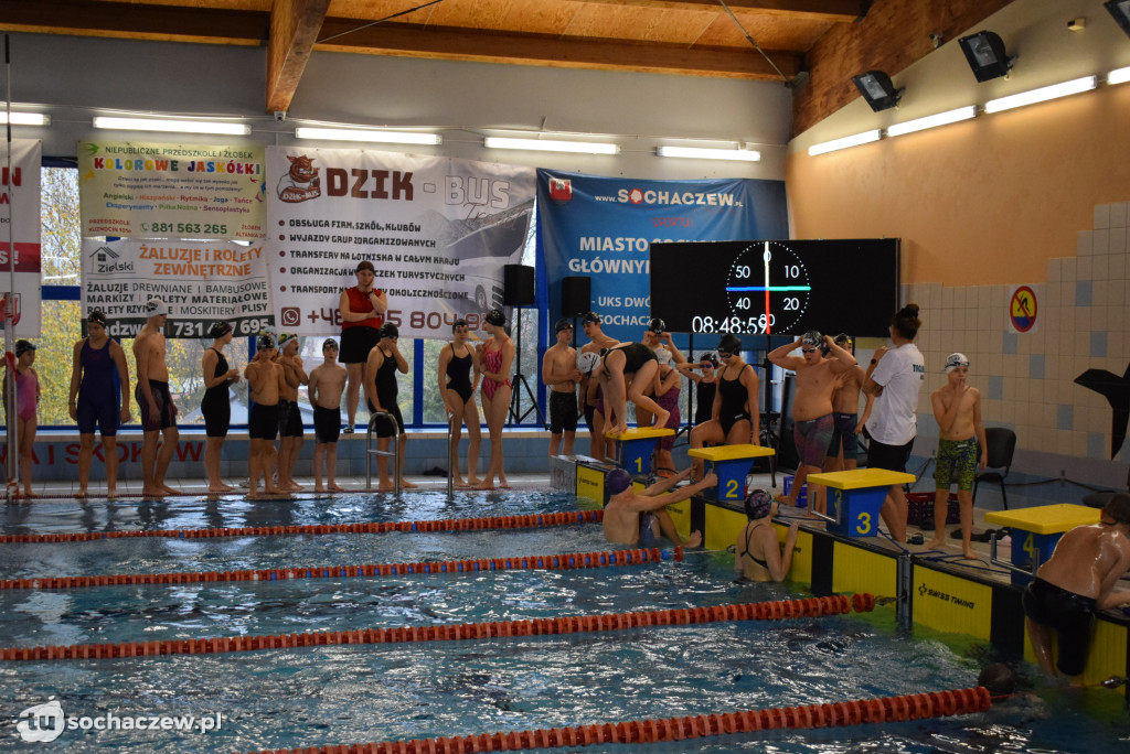 Zawody Pływackie z okazji Święta Niepodległości