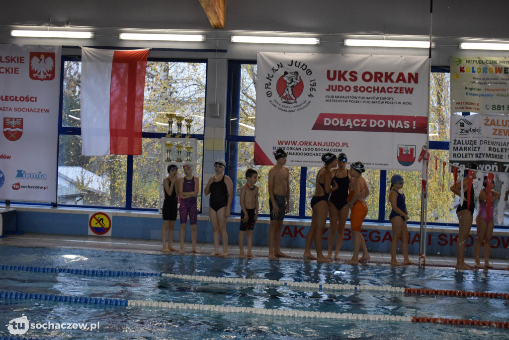 Zawody Pływackie z okazji Święta Niepodległości