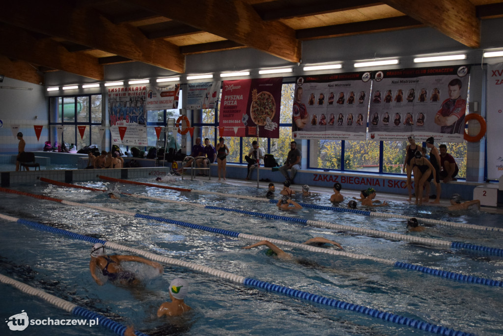 Zawody Pływackie z okazji Święta Niepodległości
