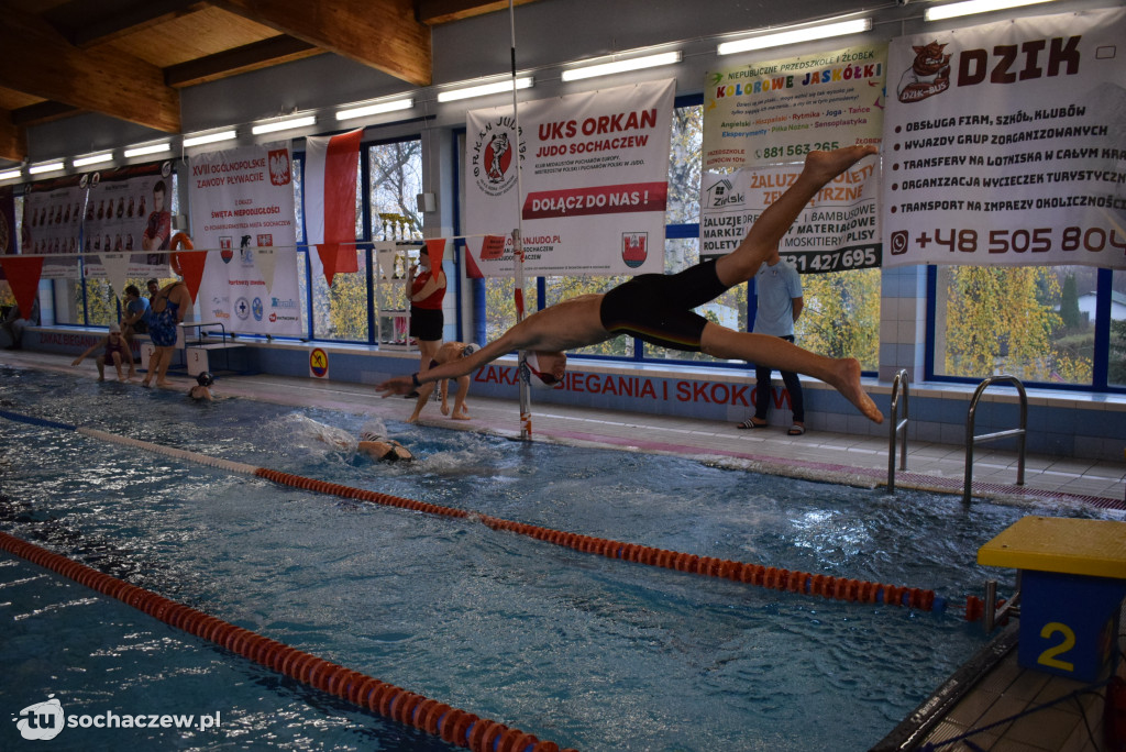 Zawody Pływackie z okazji Święta Niepodległości