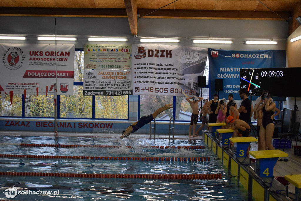 Zawody Pływackie z okazji Święta Niepodległości