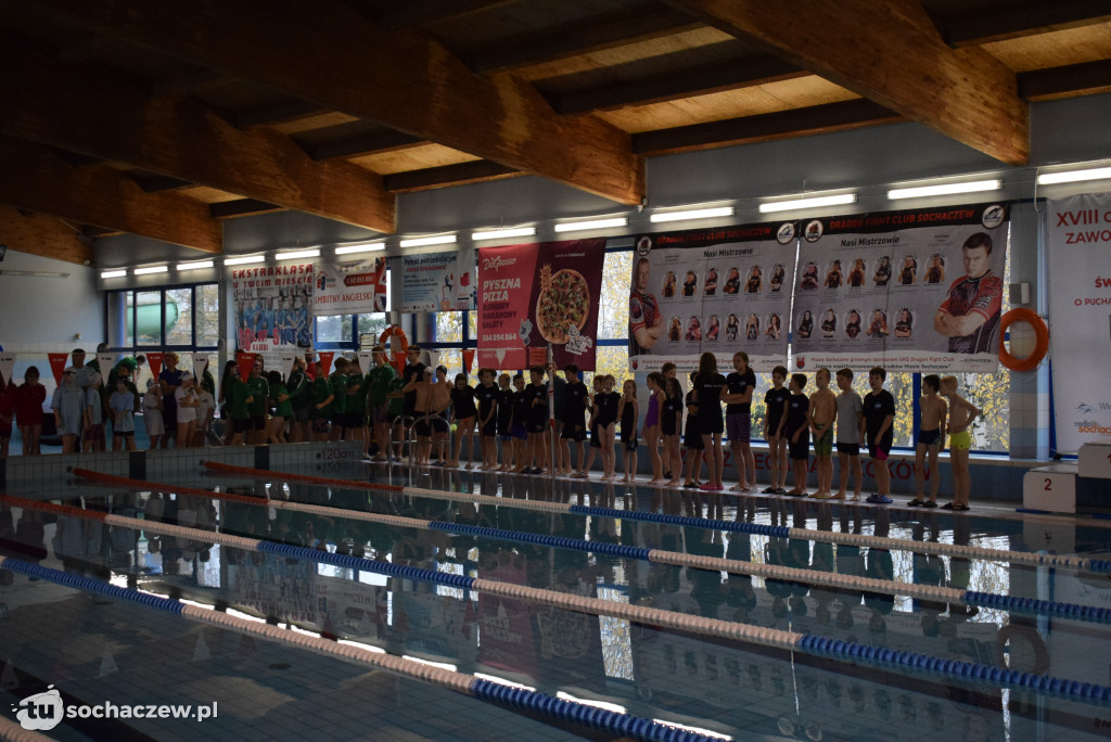 Zawody Pływackie z okazji Święta Niepodległości