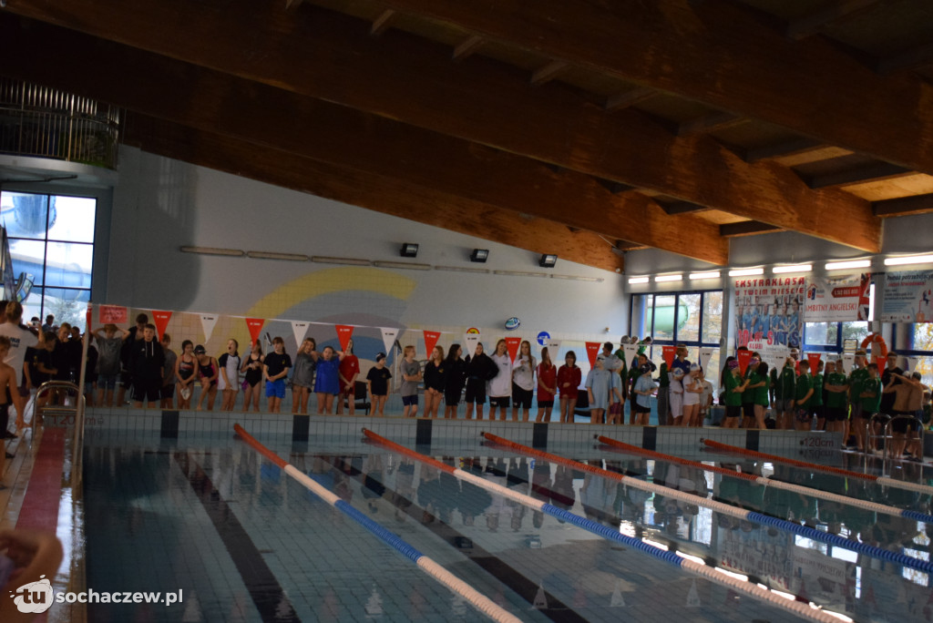 Zawody Pływackie z okazji Święta Niepodległości