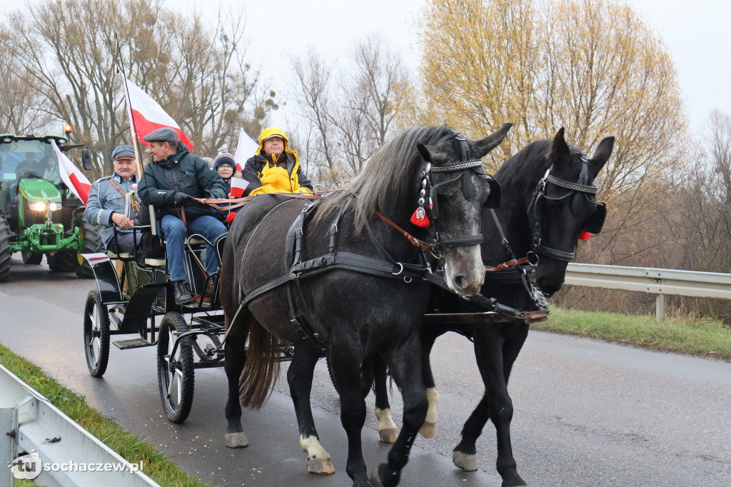 Marsz Niepodległości w Teresinie 2025