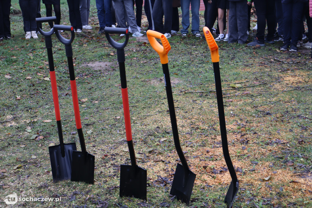 Młodzieszyn: budowę hali czas zacząć, wbito łopaty