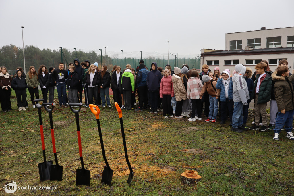 Młodzieszyn: budowę hali czas zacząć, wbito łopaty