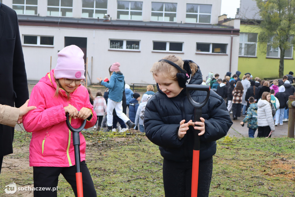 Młodzieszyn: budowę hali czas zacząć, wbito łopaty