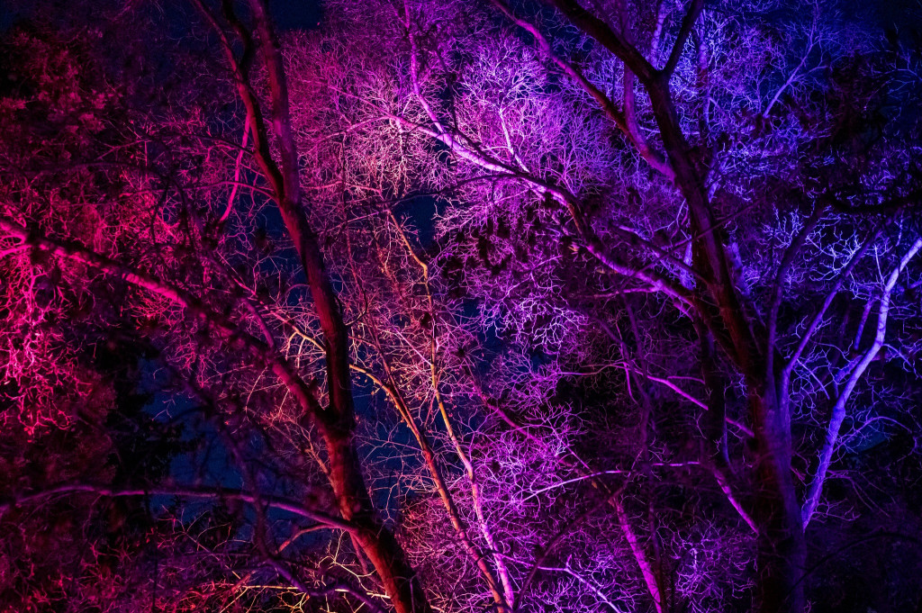 Jest klimat, Żelazowa Wola z nową iluminacją