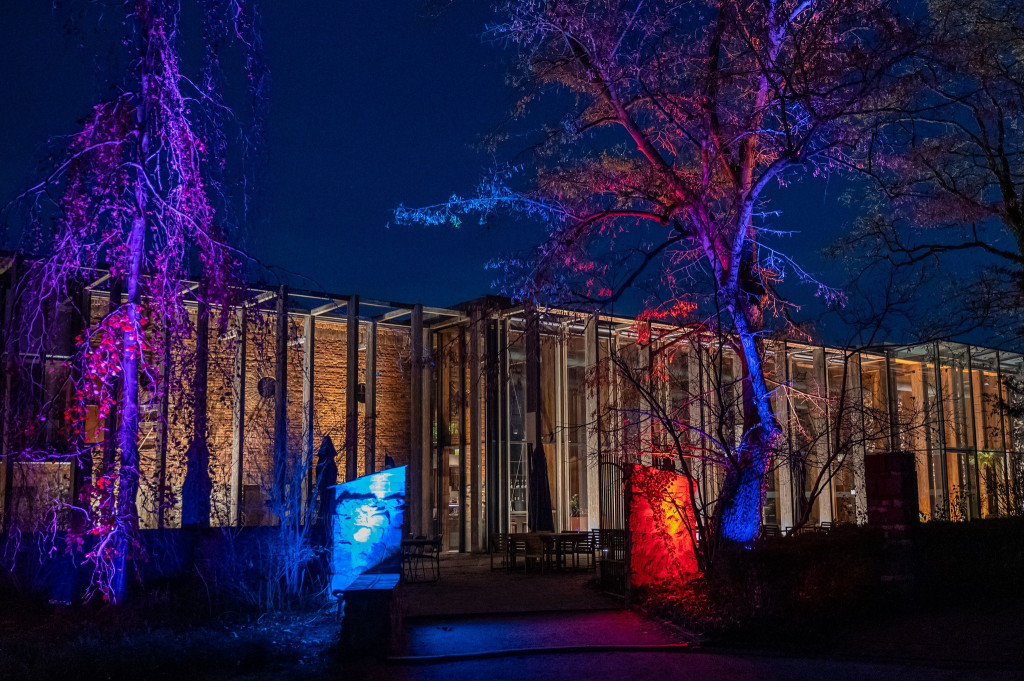 Jest klimat, Żelazowa Wola z nową iluminacją