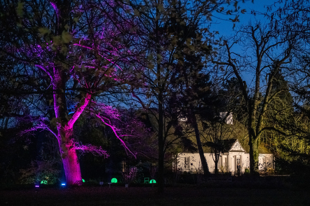 Jest klimat, Żelazowa Wola z nową iluminacją