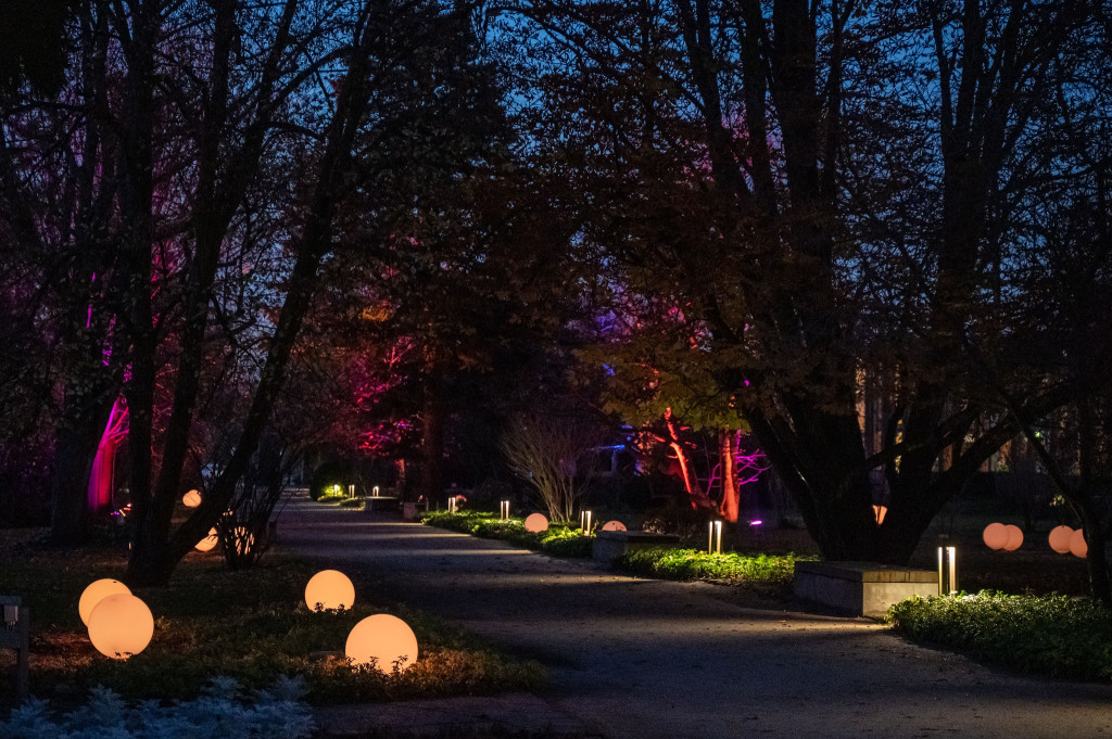 Jest klimat, Żelazowa Wola z nową iluminacją