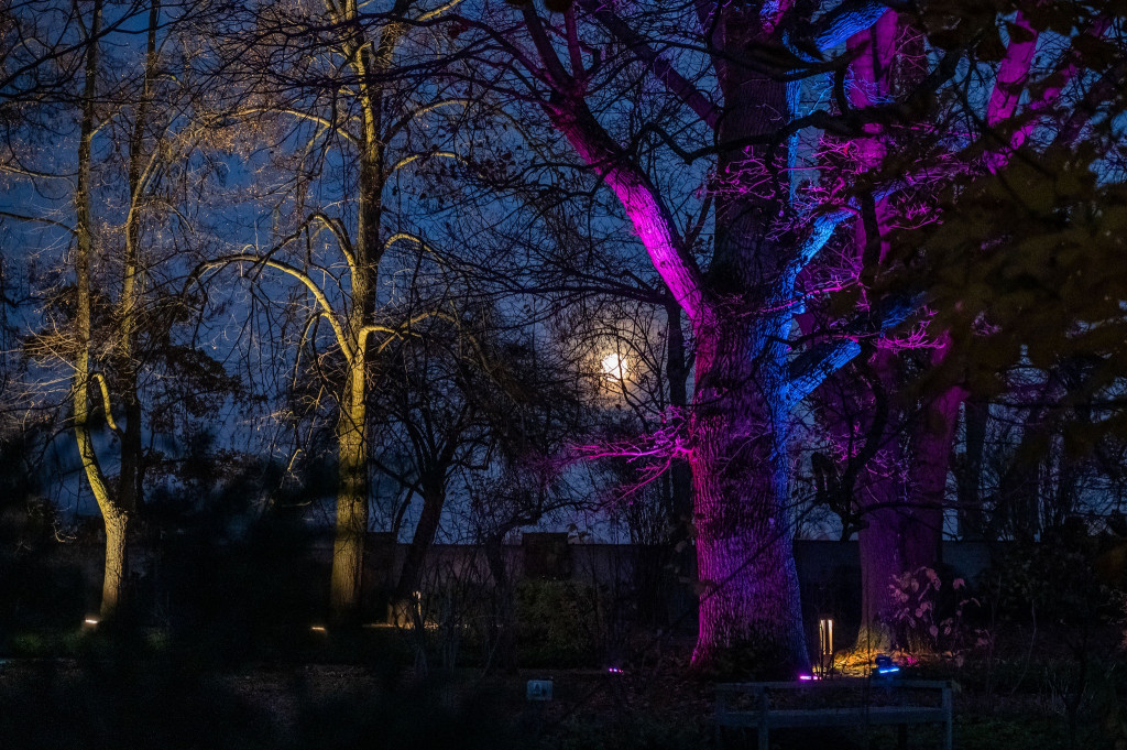 Jest klimat, Żelazowa Wola z nową iluminacją