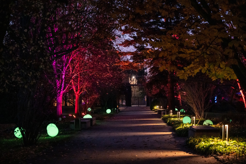 Jest klimat, Żelazowa Wola z nową iluminacją