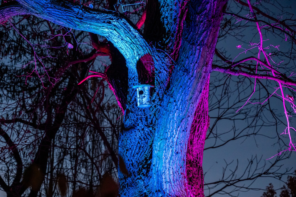 Jest klimat, Żelazowa Wola z nową iluminacją