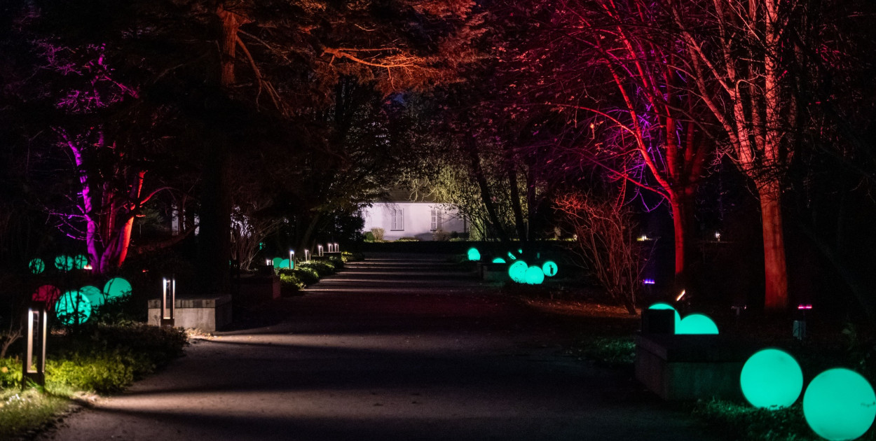 Jest klimat, Żelazowa Wola z nową iluminacją