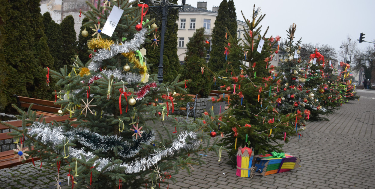 Choinki pod Choinkę 2025: tak wygląda Plac Kościuszki