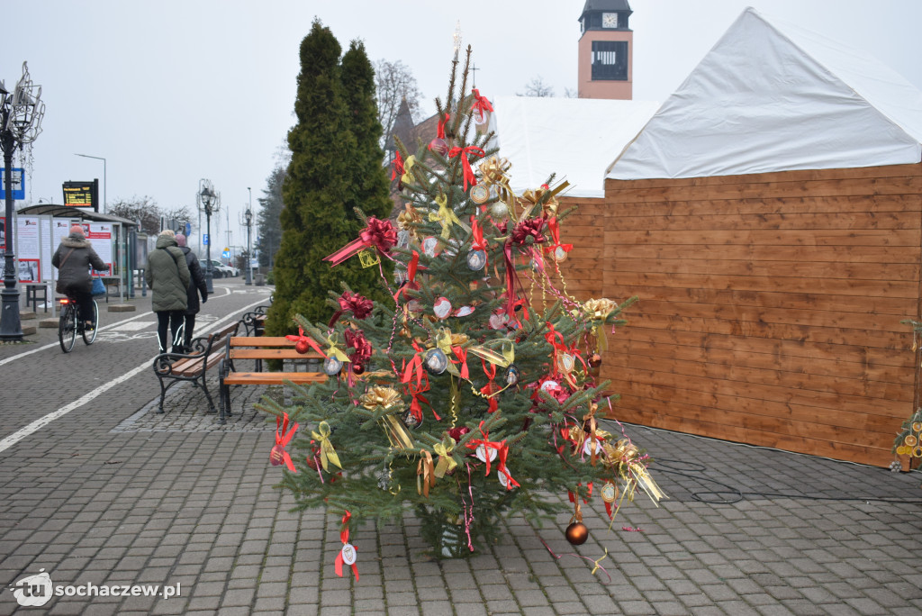 Choinki pod Choinkę 2025: tak wygląda Plac Kościuszki