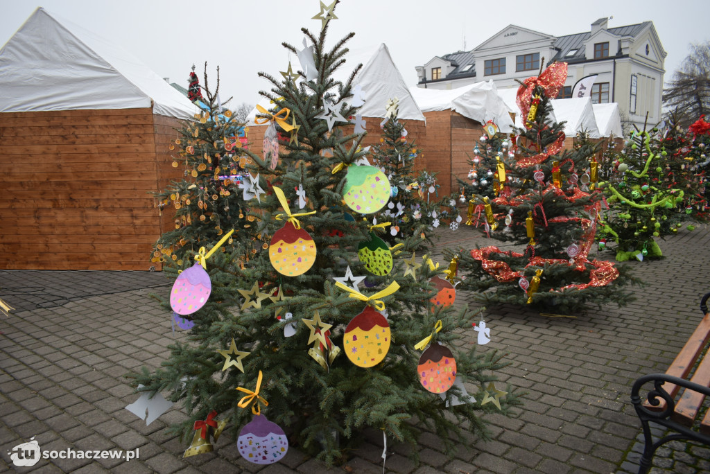 Choinki pod Choinkę 2025: tak wygląda Plac Kościuszki