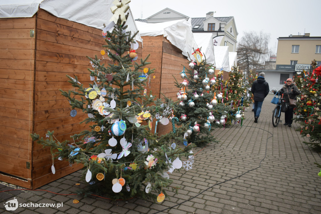 Choinki pod Choinkę 2025: tak wygląda Plac Kościuszki