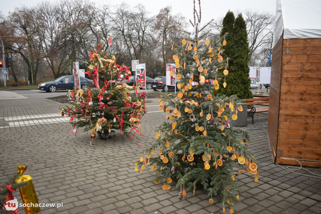 Choinki pod Choinkę 2025: tak wygląda Plac Kościuszki