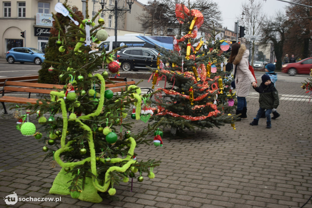 Choinki pod Choinkę 2025: tak wygląda Plac Kościuszki