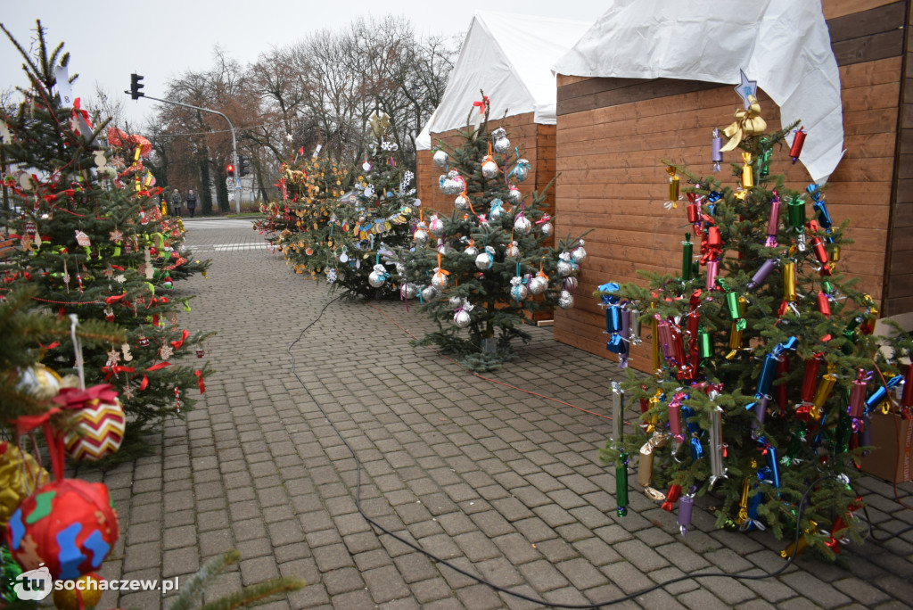 Choinki pod Choinkę 2025: tak wygląda Plac Kościuszki
