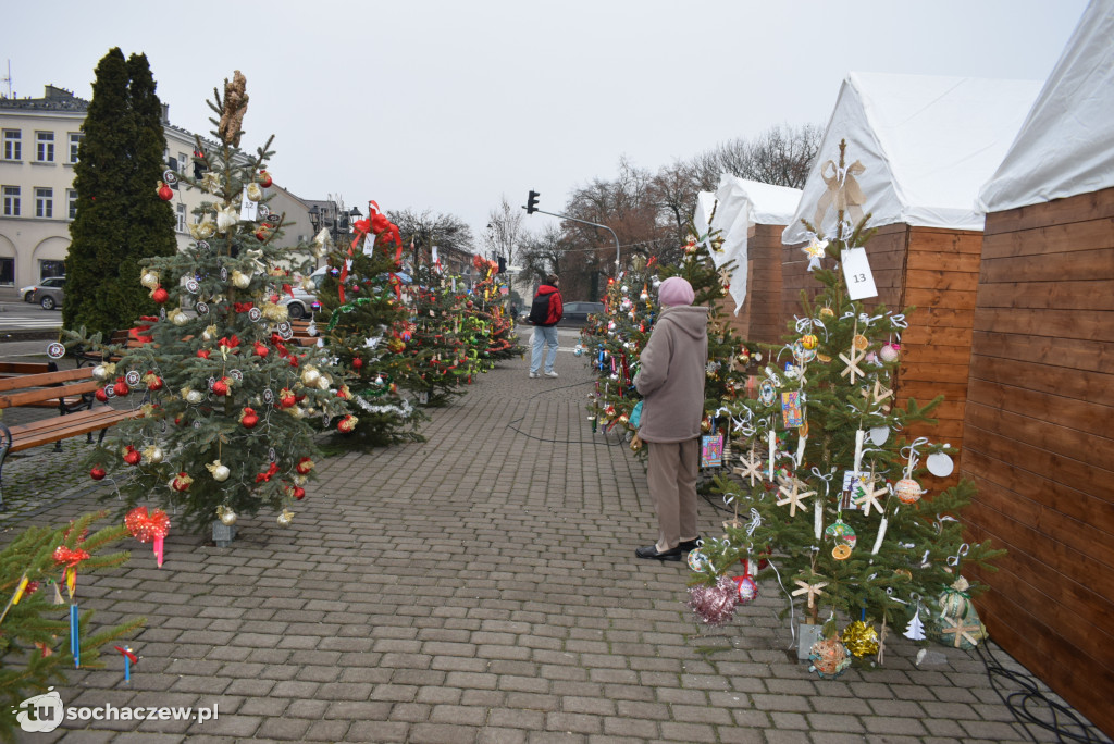 Choinki pod Choinkę 2025: tak wygląda Plac Kościuszki