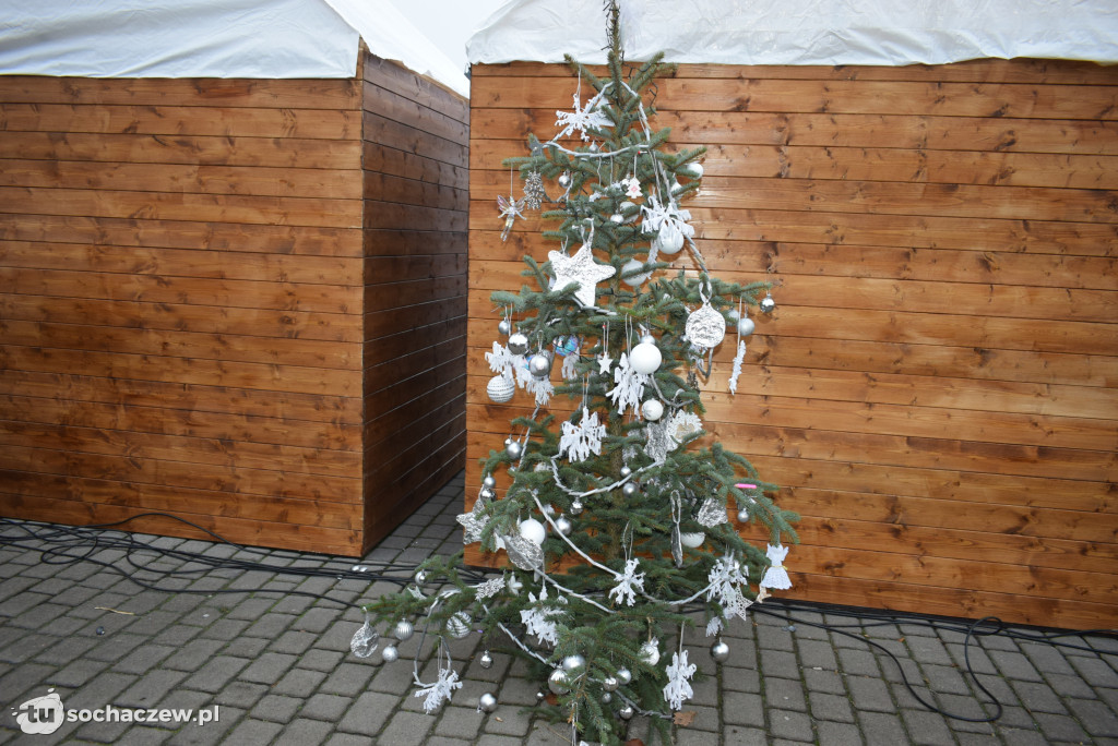 Choinki pod Choinkę 2025: tak wygląda Plac Kościuszki