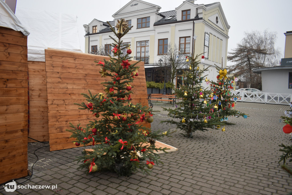 Choinki pod Choinkę 2025: tak wygląda Plac Kościuszki