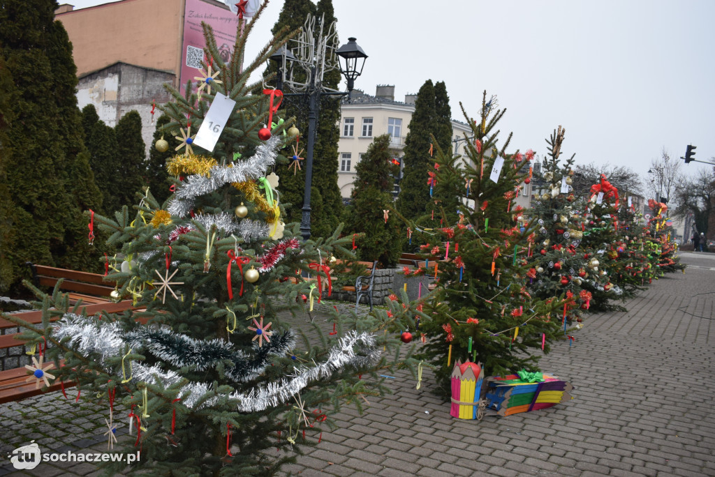 Choinki pod Choinkę 2025: tak wygląda Plac Kościuszki