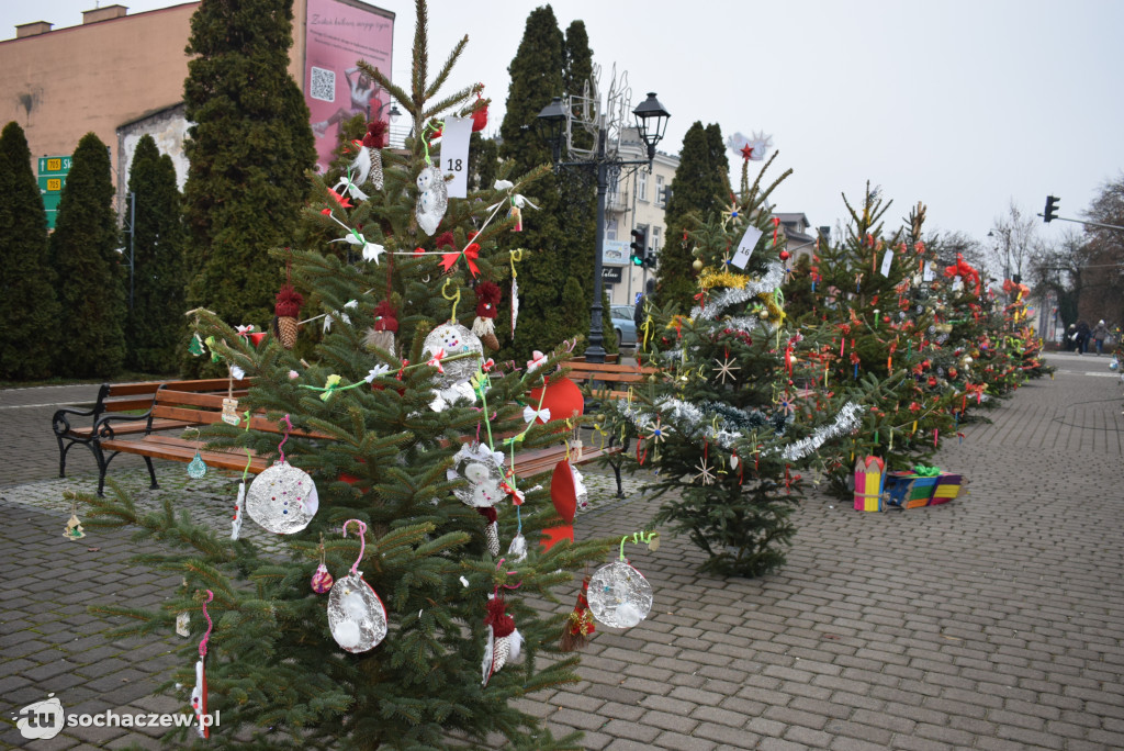 Choinki pod Choinkę 2025: tak wygląda Plac Kościuszki