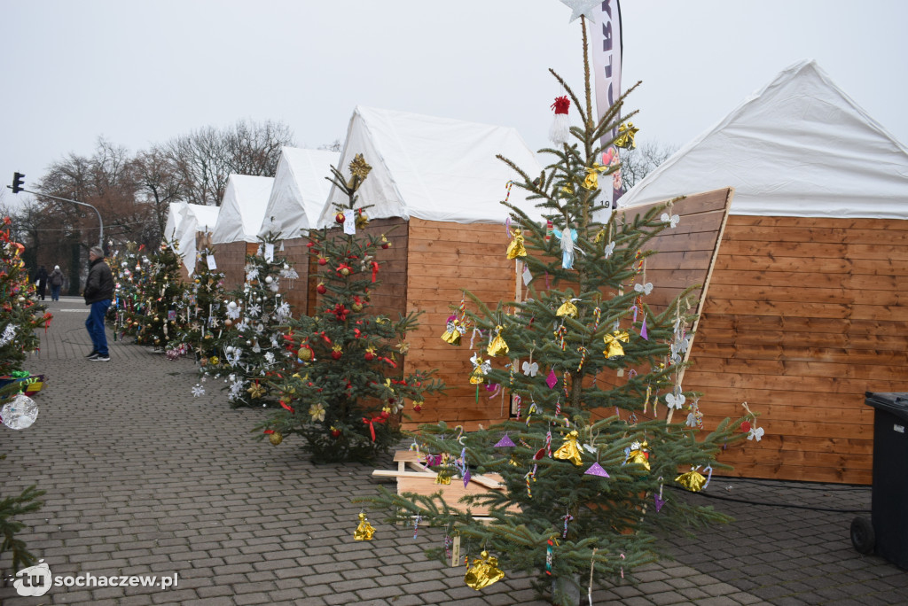 Choinki pod Choinkę 2025: tak wygląda Plac Kościuszki