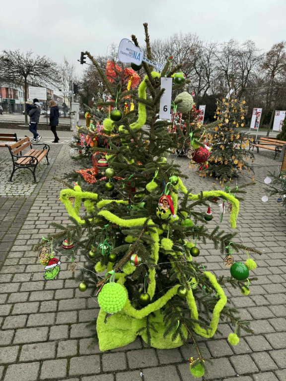 Plac Kościuszki: ktoś ukradł Grincha z choinki uczniów, ręce opadają