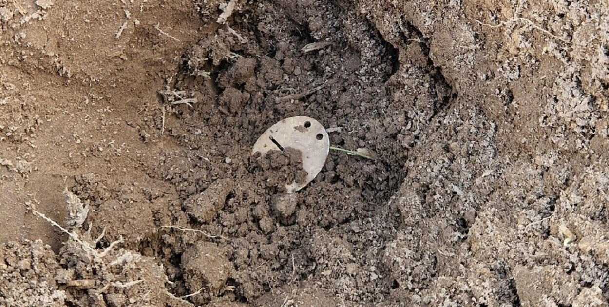 Poruszające znalezisko SGOH