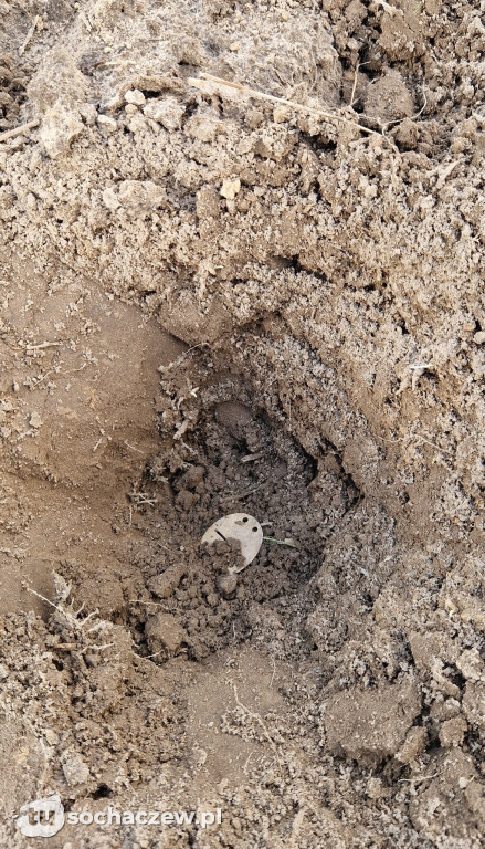 Poruszające znalezisko SGOH