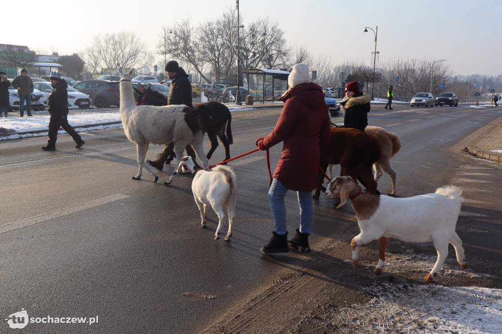 Orszak Trzech Króli w Sochaczewie 2026
